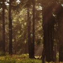 아름치과의원 이미지