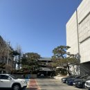 강남-250 | 서울 강남 밝은홀 추천 학동역 단독 웨딩홀 셀럽앤어셈 하객후기