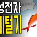 모건스탠리와 금투세의 합작_삼성전자 개미털기 이미지