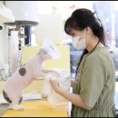 이쁘냥 고양이미용실 대전점 이미지