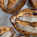 밀로브레드 이미지