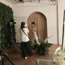 하이,포포 이미지