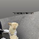 명촌마을상회