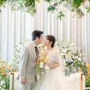 다르미앙 이미지