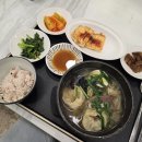 마라하오 영등포점 | '26 3주차 일상 포토덤프