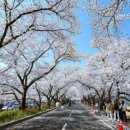 라파마을 이미지