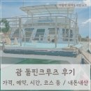 돌핀 | 괌 돌핀 크루즈 가격 시간 돌핀투어 준비물 내돈내산 후기