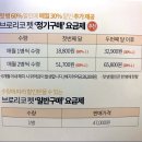 오독오독 반려견유치원 | 홍삼60배 NK면역세포 활성 브로콜리영양제 브로리코펫 애완견영양제 일주일 체험기