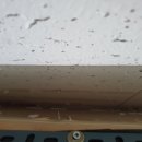 타가스크린 이미지