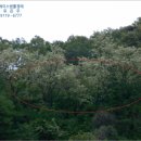 옥천군안남면지수보건진료소 이미지