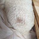 멘토동물병원 이미지