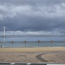 천마 흑염소 농장 이미지