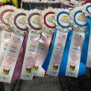 아비퀸캐터리 이미지