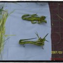 체육관로 이미지