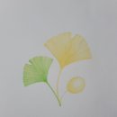 보태니컬 아트 초급 이미지