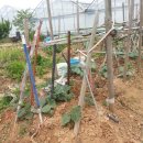 한강농장 이미지