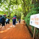 계족산황톳길 이미지