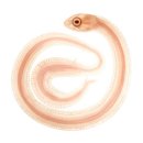 플러스온누리약국 이미지