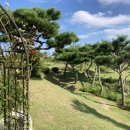 꼼지의 작은세상 이미지