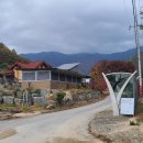 오전2리생달 이미지