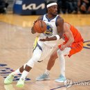 (주)펫스테이트 이미지