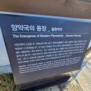 양약국 네이버블로그