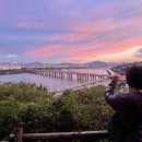 명당옥수 이미지