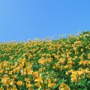 종로3가역(1) 이미지