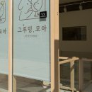 그루밍, 모아 이미지