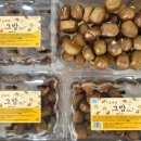 월영동113 이미지