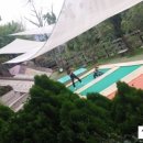 살롱드네이처