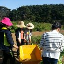 우슬재황토촌 이미지