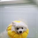 인천종합동물병원 이미지