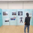 보령청과 이미지