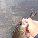 광신대교 이미지