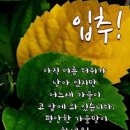 ♧2026년8월22일 쉼터 봉사공지♧ 이미지