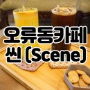 대전오류초교 | 서울 오류동카페 분위기 좋은 예쁜 카페씬(scene) 후기