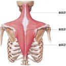 피그말리온짐 봉명센터 이미지
