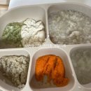 평화5(쌍둥이) | 7개월 쌍둥이 통잠 성공 과정 ㅣ230일 아기 수면교육 8일 기록