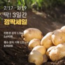 메가세일몰