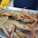 (주)한국타이어 포항총판 | 포항 대게총판 현지인 대게 맛집 추천 아이들이 좋아하는 포항 맛집 방문 후기