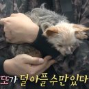 또또행복 이미지