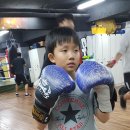 지문실복싱클럽 이미지