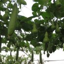 유빈농장 이미지