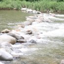 장신리유원지 이미지