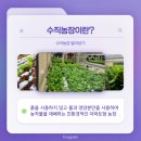 프로젝트 파이브 이미지
