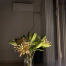 세종센터빌딩A동 이미지