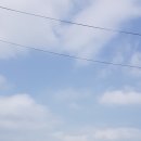 이변자동차공업사 이미지