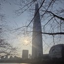 발리노래연습장 | 송파 석촌 호수 나들이, 벚꽃놀이, 올림픽공원 산책