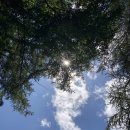 금대민박 이미지